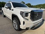 2023 GMC Sierra 1500 Crew Cab 4x4 Pickup for sale #291291A - photo 3