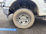 2022 Ford F-250 Regular Cab 4WD Service Truck for sale #8B3589 - photo 13