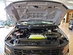 New 2025 Ford F-150 XL Regular Cab Pickup for sale #25269 - photo 15
