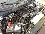 New 2025 Ford F-150 XL Regular Cab Pickup for sale #25269 - photo 16
