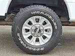 2022 Ford F-250 Crew Cab 4x4 Pickup for sale #25292A - photo 11