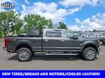2019 Ford F-250 Crew Cab 4x4 Pickup for sale #25541A - photo 14