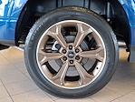 New 2025 Ford F-150 XL Regular Cab Pickup for sale #25754 - photo 6