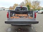 2025 Ford F-150 SuperCrew Cab 4WD Pickup for sale #25768A - photo 29