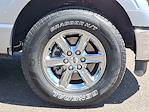 2024 Ford F-150 SuperCrew Cab 4x4 Pickup for sale #P78572 - photo 8