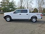 Used 2019 Ford F-150 XL SuperCrew Cab for sale #P78853 - photo 7