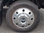 2025 Ford F-450 Crew Cab DRW 4x4 Pickup for sale #X25608 - photo 6