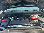 2025 Chevrolet Silverado 1500 Regular Cab 4x4 Pickup for sale #A01040 - photo 22