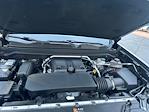 2024 Chevrolet Colorado Crew Cab 4WD Pickup for sale #A50854 - photo 19