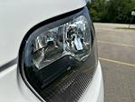 New 2025 Ford Transit 250 Medium Roof Empty Cargo Van for sale #T28793 - photo 40
