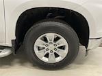 2024 Chevrolet Silverado 1500 Regular Cab RWD Pickup for sale #53966A - photo 14