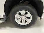 2024 Chevrolet Silverado 1500 Regular Cab 4x2 Pickup for sale #54278F - photo 14