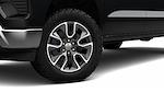 2025 Chevrolet Silverado 1500 Crew Cab 4x4 Pickup for sale #CS0273 - photo 31