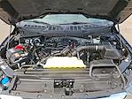 2023 Ford F-150 SuperCrew Cab 4x4 Pickup for sale #PFC05221C - photo 17