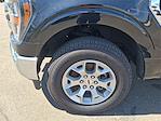 2023 Ford F-150 SuperCrew Cab 4x4 Pickup for sale #PFC05425 - photo 18