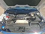 2023 Ford F-150 SuperCrew Cab 4x4 Pickup for sale #PFC48172C - photo 17