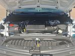 2024 Chevrolet Silverado 1500 Regular Cab RWD Pickup for sale #RG274771C - photo 16