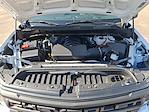 2024 Chevrolet Silverado 1500 Regular Cab RWD Pickup for sale #RG362631C - photo 17