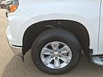 2024 Chevrolet Silverado 1500 Regular Cab RWD Pickup for sale #RG409782C - photo 17