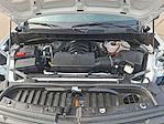 2024 Chevrolet Silverado 1500 Regular Cab RWD Pickup for sale #RG409782C - photo 16