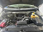 2014 Ford F-150 SuperCrew Cab RWD Pickup for sale #HT24231AA - photo 14