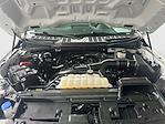 2024 Ford F-150 Regular Cab 4x2 Pickup for sale #HT24301A - photo 14