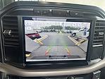 2024 Ford F-150 Regular Cab 4x2 Pickup for sale #HT24301A - photo 21
