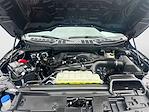 2025 Ford F-150 SuperCrew Cab RWD Pickup for sale #HT25221A - photo 14