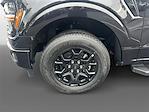 2025 Ford F-150 SuperCrew Cab RWD Pickup for sale #HT25221A - photo 15