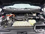 2021 Ford F-150 SuperCrew Cab 4WD Pickup for sale #HT26008A - photo 14