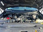 2024 Ford F-250 Crew Cab 4WD Pickup for sale #HT26109A - photo 13