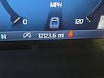 2024 Ford F-150 SuperCrew Cab 4WD Pickup for sale #C38825 - photo 16