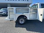 2026 Ford F-250 Crew Cab 4x4 Pickup for sale #TEC42624 - photo 9