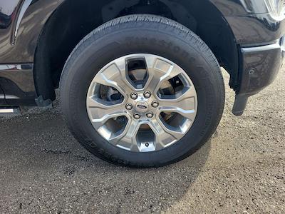 Used 2023 Ford F-150 - photo 1