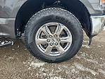 2019 Ford F-150 SuperCrew Cab 4WD Pickup for sale #FTS3055A - photo 5