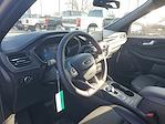 New 2026 Ford Escape ST-Line Select for sale #NTA1966 - photo 17