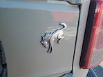 New 2025 Ford Bronco Big Bend for sale #NTS12545 - photo 8