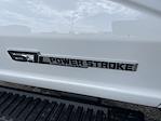 2025 Ford F-450 Regular Cab DRW 4WD Cab Chassis for sale #NTS2785 - photo 11