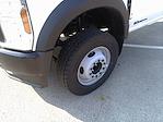 New 2025 Ford F-600 Regular Cab Cab Chassis for sale #NTS3085 - photo 7