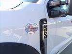 New 2025 Ford F-600 Regular Cab Cab Chassis for sale #NTS3085 - photo 8