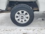 2024 Ford F-250 Crew Cab 4WD Pickup for sale #P13535 - photo 6