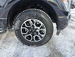 2023 Ford F-150 SuperCrew Cab 4WD Pickup for sale #P13556 - photo 5