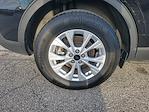 Used 2023 Ford Escape Active for sale #RT3055 - photo 6