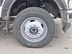 New 2025 Ford F-600 Regular Cab Cab Chassis for sale #T25614 - photo 8