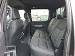 New 2025 Ford F-150 XLT SuperCrew Cab for sale #T25826 - photo 10