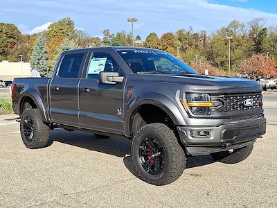 2025 Ford F-150 SuperCrew Cab 4x4 Pickup for sale #T25868 - photo 1