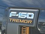 2025 Ford F-150 SuperCrew Cab 4x4 Pickup for sale #T26203A - photo 30