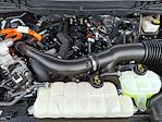 New 2024 Ford F-150 Platinum SuperCrew Cab 4x4 Pickup for sale #Z6572 - photo 28