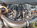2024 Ford F-150 SuperCrew Cab 4x4 Pickup for sale #Z6606 - photo 28