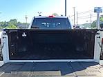 New 2024 Ford F-150 Lightning Platinum SuperCrew Cab AWD Pickup for sale #Z6632 - photo 28